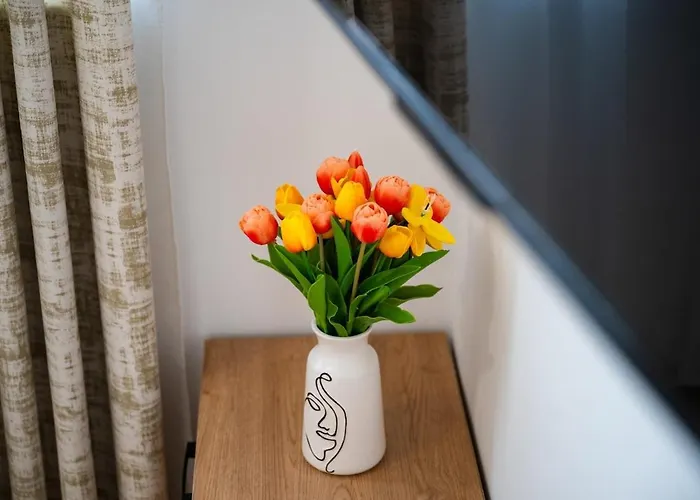 Colorsvibe Apartment Trogir