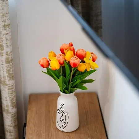 Colorsvibe アパート トロギール