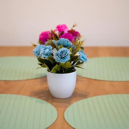 Colorsvibe アパート トロギール